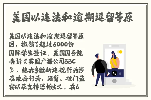 欧美精品一级视频